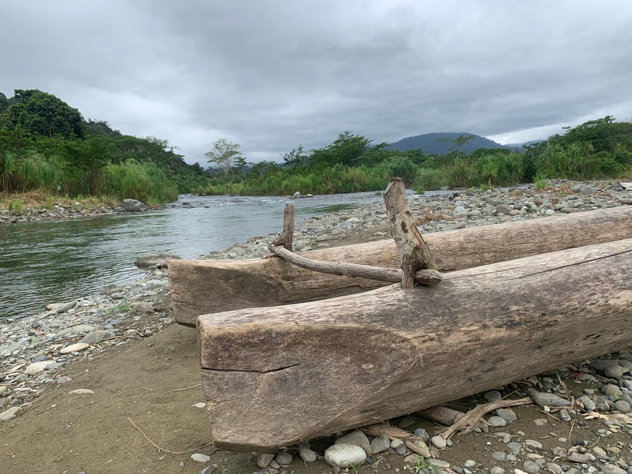 Balsa