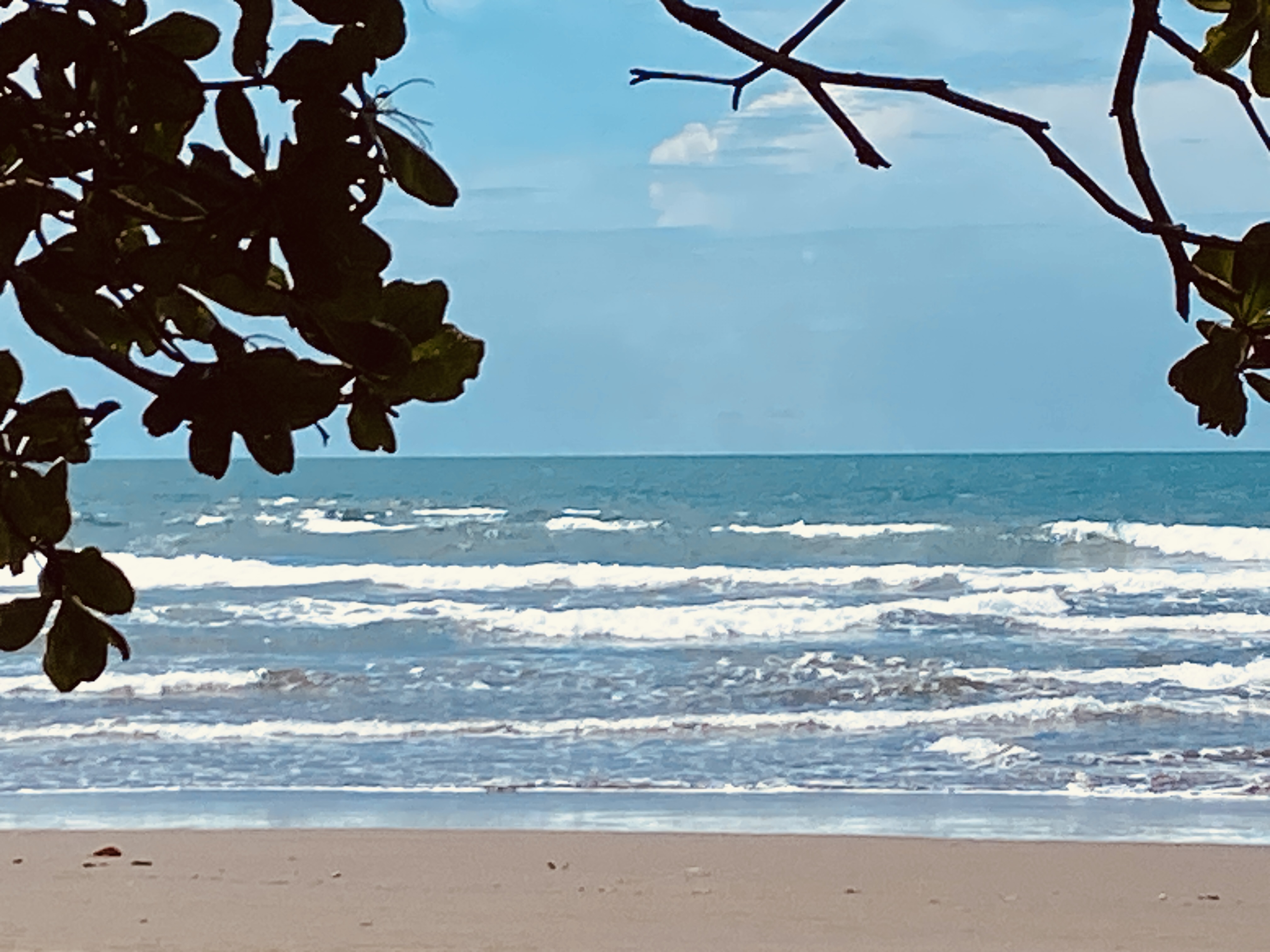 Caraïbes
